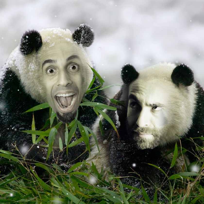 #183 - This Week on HK News: Newborn Pandas, Tourism is Back & YUU Sucks!