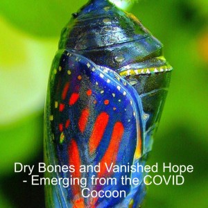 Dry Bones and Vanished Hope - Emerging from the COVID Cocoon