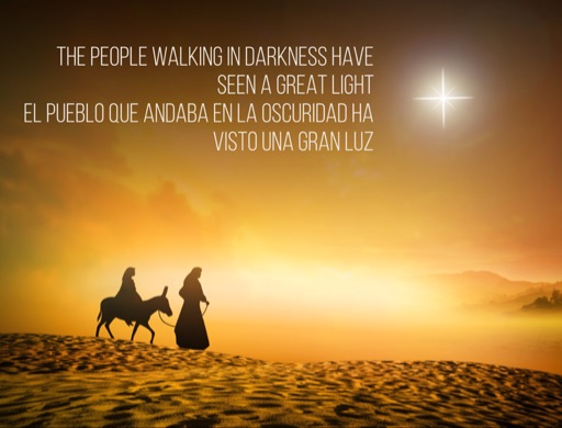 Sunday Sermon: Those walking in darkness have seen a great light