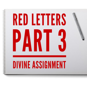 Part 3 - Divine Assignment - Red Letters