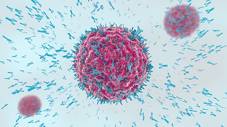 25.dávka: O imunite a protilátkach