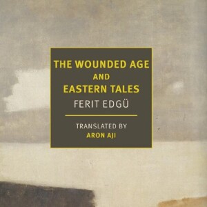 Aron Aji on the unsettling work of Turkish novelist Ferit Edgü