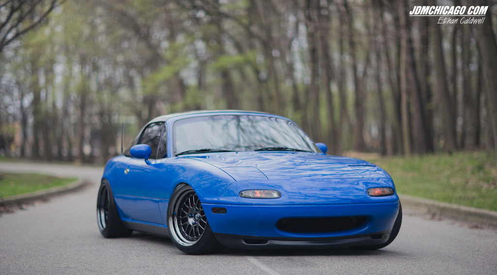 What's Hanging Show - JDM