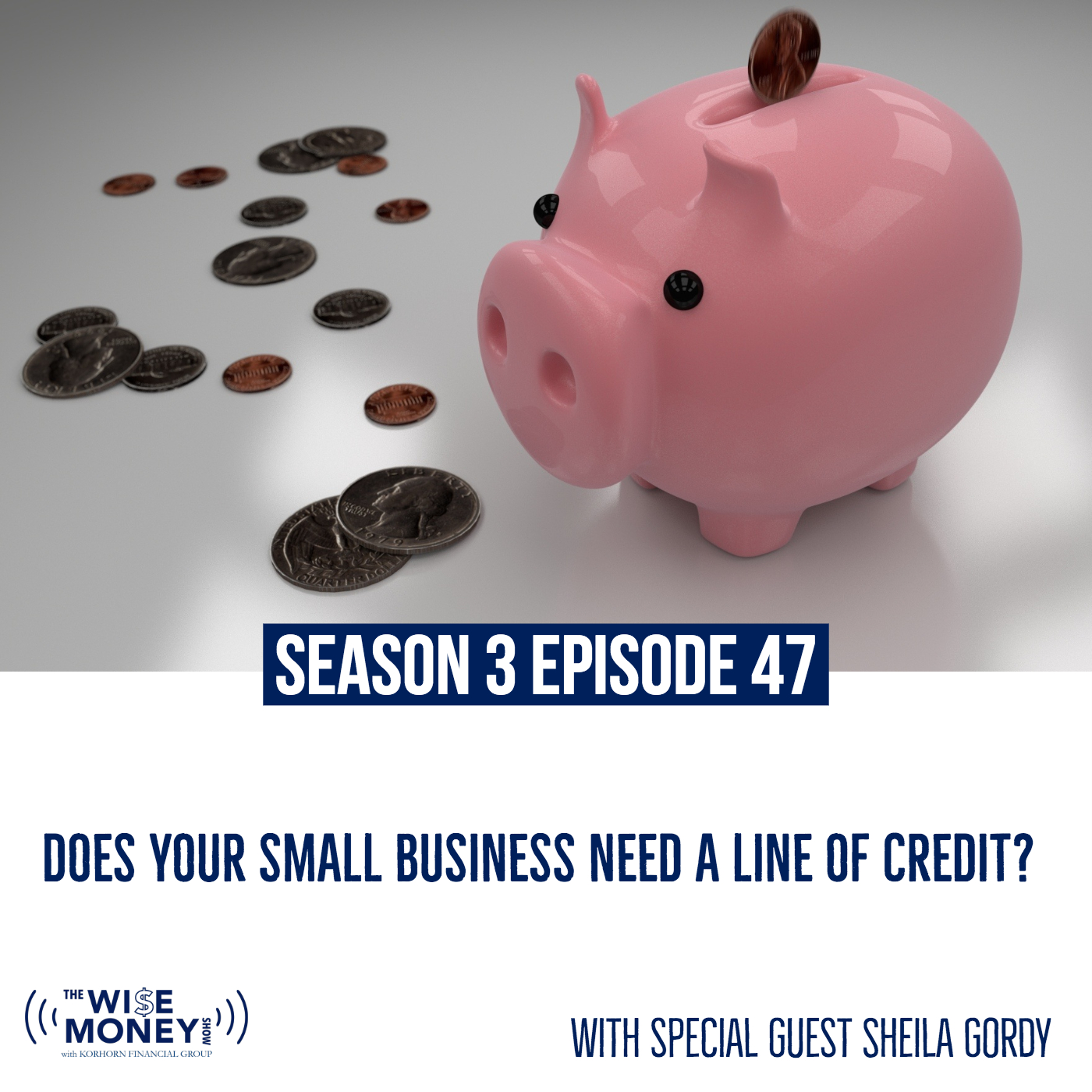 S3E47: Does Your Small Business Need a Line of Credit?