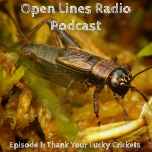 Open Lines Radio Podcast - Episode 1: Thank Your Lucky Crickets