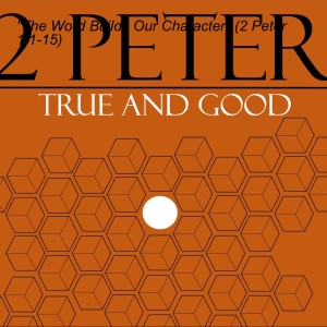 ”False Teachers (part 2)” (2 Peter 2:10-22)