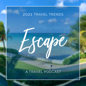 2021 Travel Trends - Where are People Going?