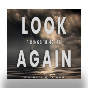 Look Again