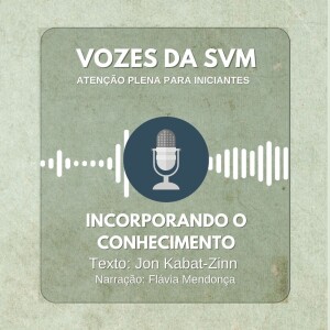 Vozes da SVM #47 - Incorporando o conhecimento