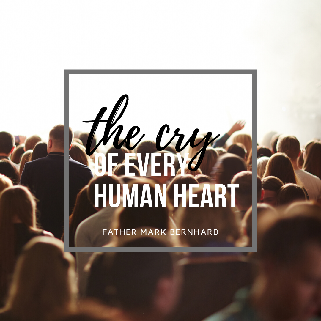 2020-05-09 Fr Mark - Daily Mass - The Cry of Every Human Heart
