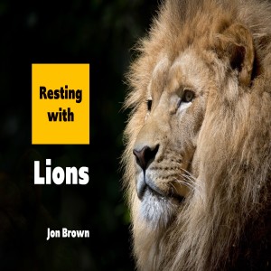 Resting with Lions