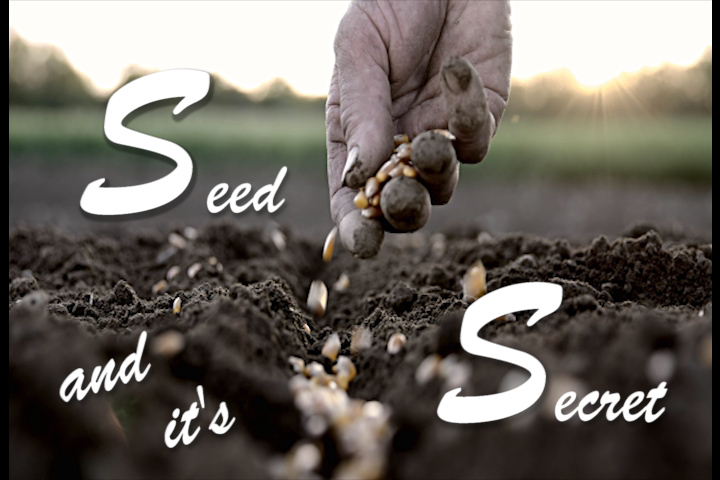 Seed and it's secret