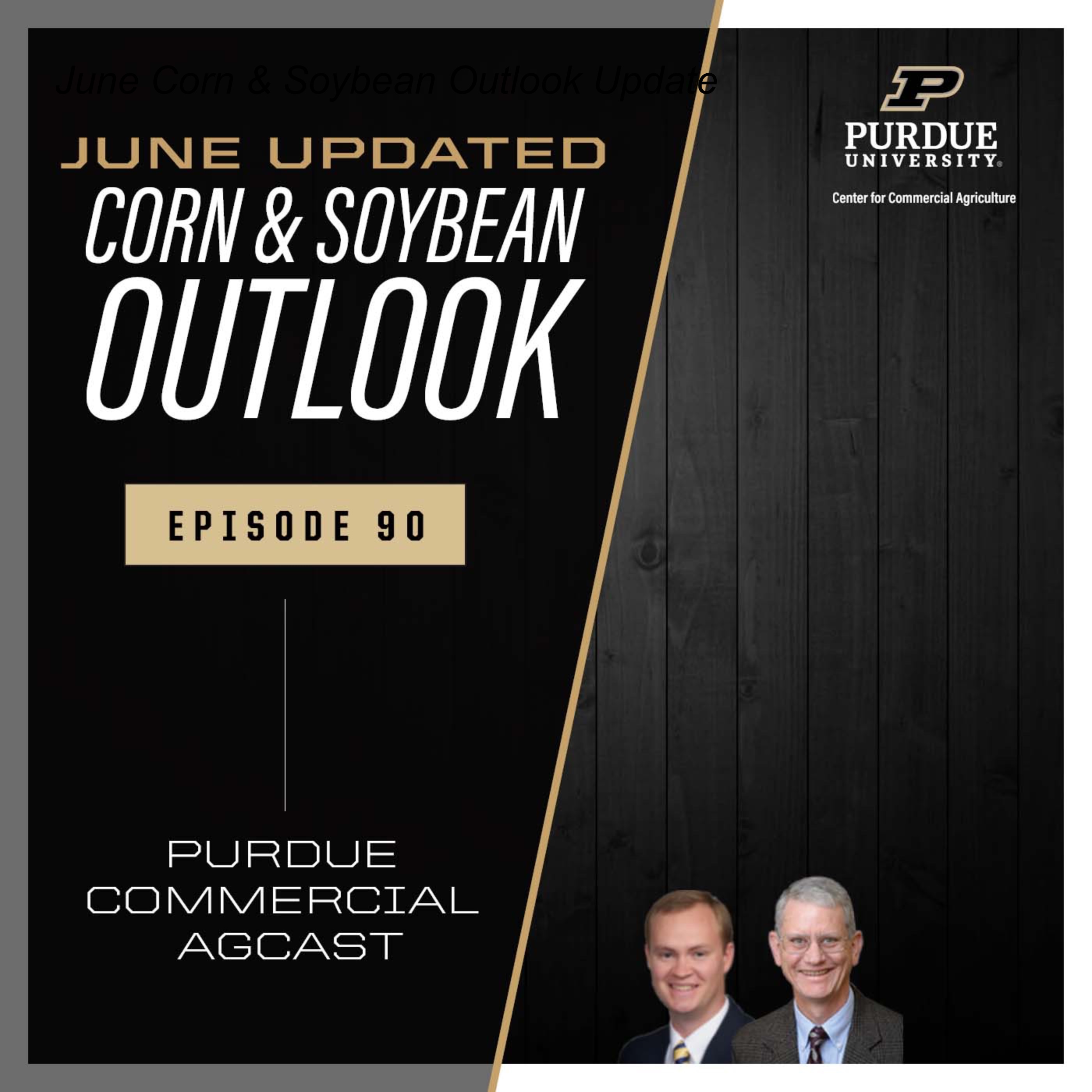 June Corn & Soybean Outlook Update