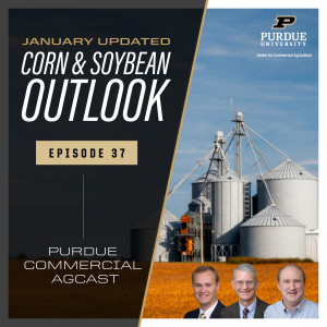 January Corn & Soybean Outlook Update