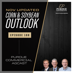 November Corn & Soybean Outlook Update