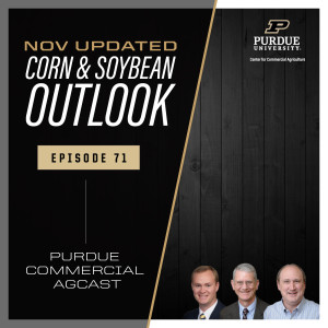 November Corn & Soybean Outlook Update