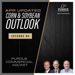 April Corn & Soybean Outlook Update