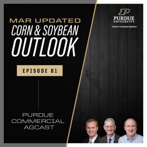 March Corn & Soybean Outlook Update