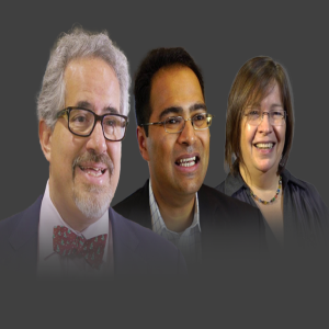 The MPN Sessions: pathobiology, therapeutic strategies & clinical trials