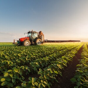 Cibo e acqua sostenibili: perché l’attuale sistema alimentare deve essere trasformato