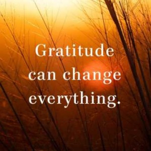 Day 52 - Increase Your Gratitude!