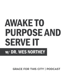E124. Awake to Purpose and Serve It w/ Dr. Wes Northey