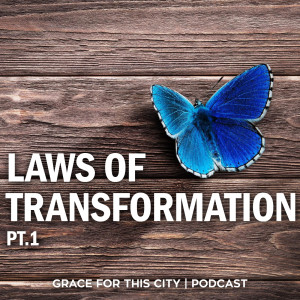 E55. Laws of Transformation - Pt.1