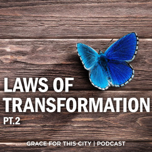 E58. Laws of Transformation - Pt2