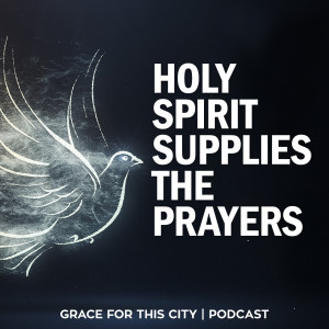 E48. Holy Spirit Supplies the Prayers