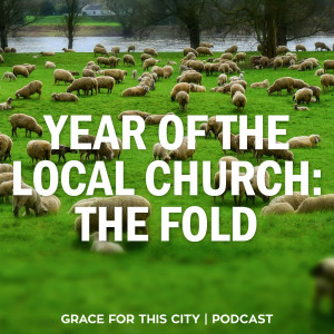 E49. Year of the Local Church: The Fold