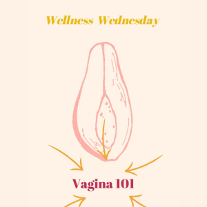 Vagina 101: How to Care for Down There