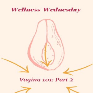Vagina 101: Grooming, Discharges, and What (Not) to Wear Down There