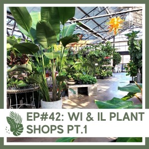 Ep#42: WI & IL Plant Shops Pt.1