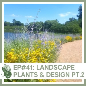 Ep#41: Landscape Plants & Design Pt. 2