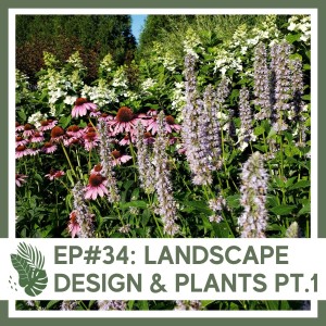 Ep#34: Landscape Design & Plants Pt. 1