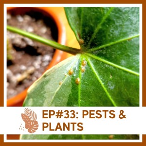 Ep#33: Pests & Plants