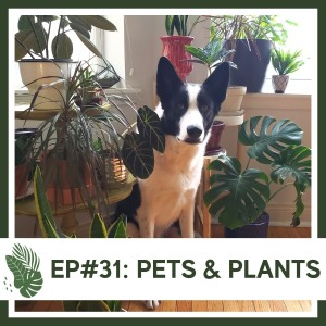 Ep#31: Pets and Plants