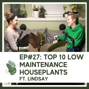 Ep#27: Top 10 Low Maintenance Houseplants ft. Lindsay (my twin sister)