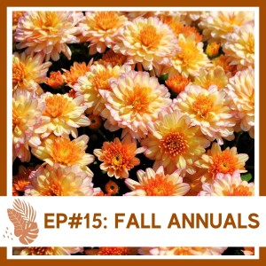 Ep#15: Fall Annuals- Plant Bio