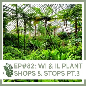 S1 Ep#82 WI & IL Plant Shops & Stops Pt.3