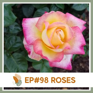 Ep#98: Roses- Landscape Plant Bio