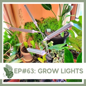 Ep#63: Grow Lights