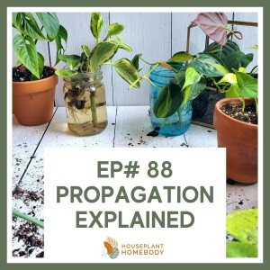 Ep#88: Propagation Explained