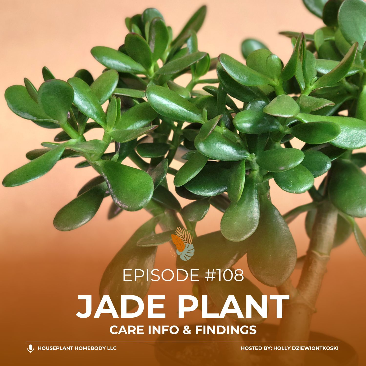 Ep#108: Jade Plant