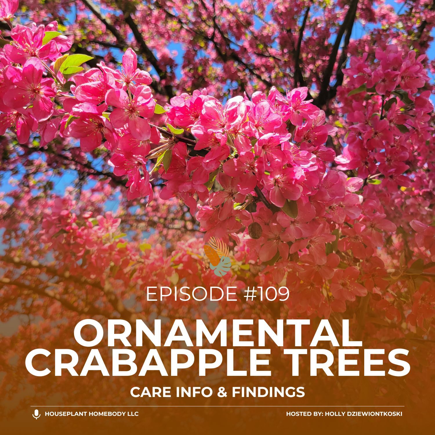 Ep#109: Ornamental Crabapple Trees