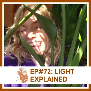 Ep#72: Light Explained