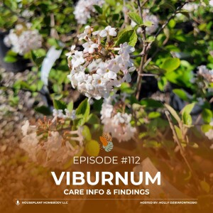 Ep#112: Viburnum- Landscape Plant