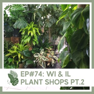 Ep#74: WI & IL Plant Shops Pt.2