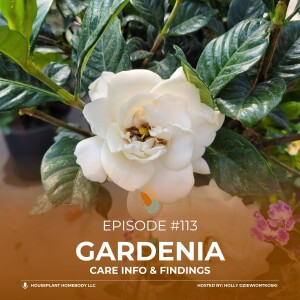 Ep#113: Gardenia