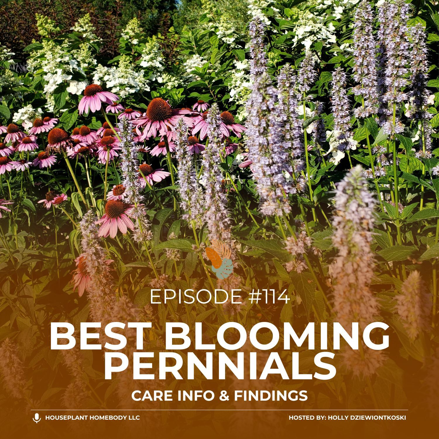 Ep#114: Best Blooming Pernnials